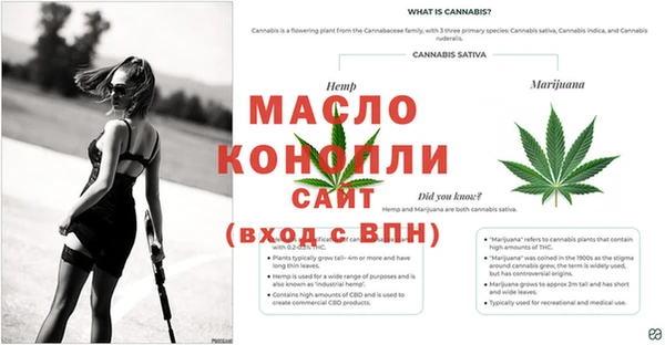 синтетический гашиш Орехово-Зуево