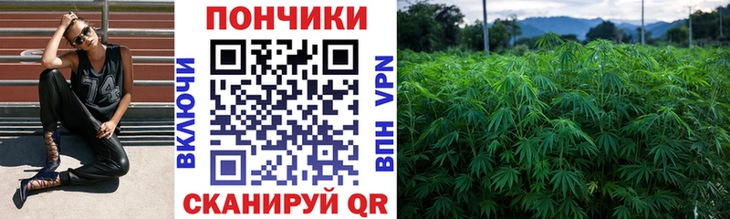 Шишки марихуана Ganja  продажа наркотиков  kraken рабочий сайт  Сергач 